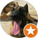 Alain P profile picture